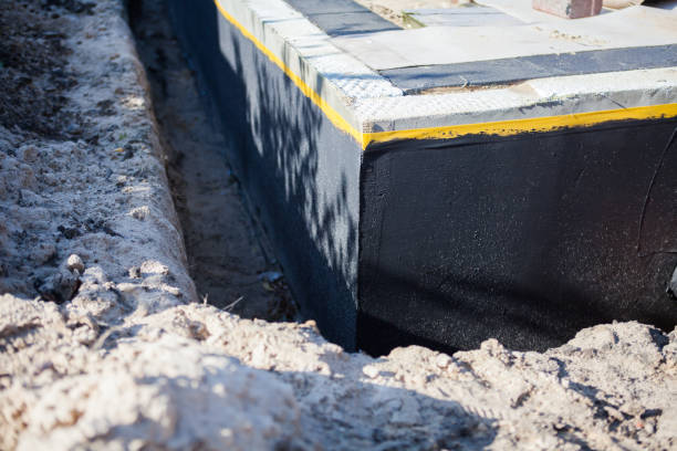 Professional Sump Pump Installation technician working in Linden, MI